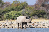 DSC_3891A.jpg