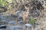 DSC_3934.JPG