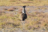 DSC_3944.JPG