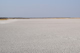 DSC_3947.JPG