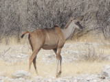 DSCN7099A.jpg