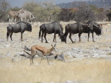 DSCN7105.JPG