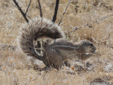 DSCN7111A.jpg