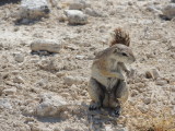 DSCN7130.JPG