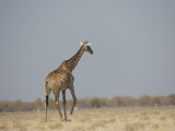 DSCN7170.JPG