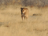 DSCN7220A.jpg