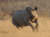 DSCN7253A.jpg