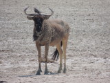 DSCN7313.JPG