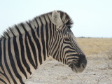 DSCN7320.JPG