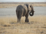DSCN7360.JPG