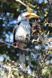 DSC_4045A.jpg