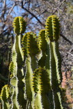 DSC_4064.JPG