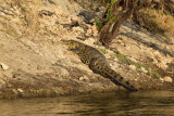 DSC_4116.JPG