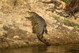 DSC_4128.JPG