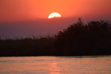 DSC_4210.JPG