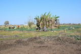 DSC_4234.JPG
