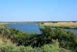 DSC_4245.JPG