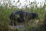 DSC_4321.JPG