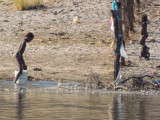 DSCN7391A.jpg