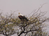 DSCN7419A.jpg