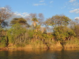 DSCN7447.JPG
