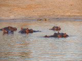 DSCN7464.JPG