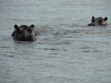 DSCN7493.JPG