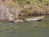 DSCN7531A.jpg