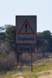 DSC_4431A.jpg