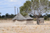 DSC_4436.JPG