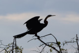 DSC_4490A.jpg