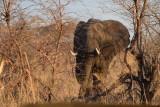 DSC_4600.JPG
