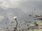 DSCN7533.JPG