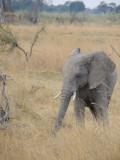 DSCN7560.JPG