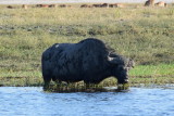 DSC_4845.JPG