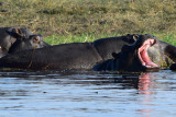 DSC_4875A.jpg
