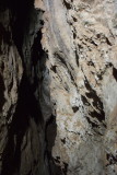 DSC_6153.JPG