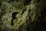 DSC_6180.JPG