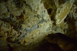 DSC_6187.JPG