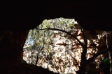 DSC_6188.JPG