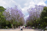 DSC_1876.JPG