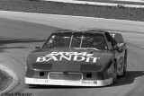 48TH DNF BUZ MCCALL 9GTO CAMARO