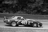 31ST JOHN GREENWOOD/SAM POSEY   Chevrolet Corvette C3 #Greenwood 002 