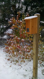 Winter roost box