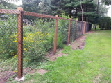 Back side of the fence