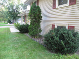 Front yard before landscapings