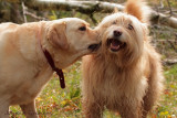 Playtime
