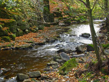 More Autumn on the Burn