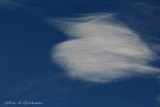 Look up, what do you see?
