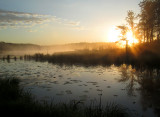 Wetland Sunrise 0422